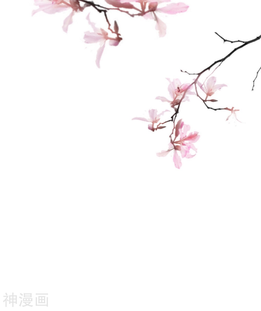 第71话 一颗药丸-19